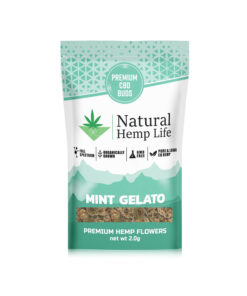 Mint Gelato - Premium CBD Buds